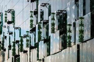 Glass wall of modern building, Moscow, 28.07.2020 photo