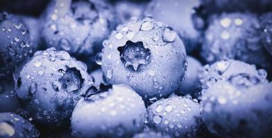 arándano Fruta fondo, púrpura bayas cubierto con agua gotas foto