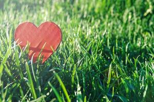 red paper heart against green grass in sun flare for eco design photo