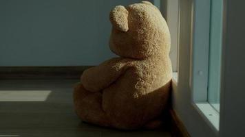 depresión y mental enfermedad. osito de peluche oso triste sensación triste después recepción malo noticias. estresado confuso con infeliz problemas, discutiendo con vida, llorar y preocupación acerca de inesperado el embarazo video