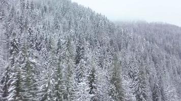 aereo Visualizza di un' inverno congelato fiume circondato di alberi e banche coperto con neve video