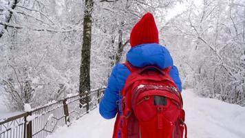 Young woman walks across the bridge across the river. Beautiful winter snow-covered landscape video