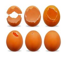 Realistic Detailed 3d Chicken Egg Broken and Whole Set. Vector