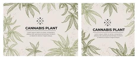 A set of botanical templates. Leaves on eco background. Hemp twigs in line art style, engraving vector