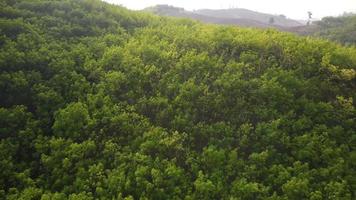 Mountain destroyed by human for cultivate plants. Aerial view of mountains covered in haze from burning forests. Areas with dense smog and covered with PM2.5. Air pollution and ecological problems video