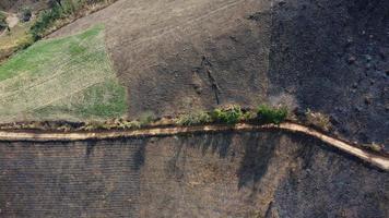 Berg zerstört durch Mensch zum pflegen Pflanzen. Antenne Aussicht von Berge bedeckt im Dunst von Verbrennung Wälder. Bereiche mit dicht Smog und bedeckt mit pm2.5. Luft Verschmutzung und ökologisch Probleme video