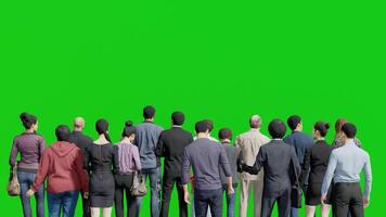 Isolated group of businessman standing in back view,3D people animation on green screen background chroma key video