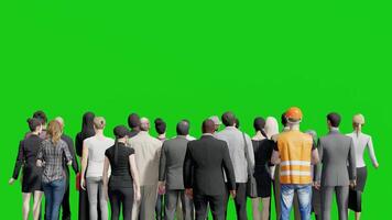 closeup back view 3D crowd animation on green screen background chroma key, Isolated group of people standing video