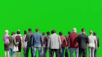 Isolated group of people standing in back view,3D people animation on green screen background chroma key video