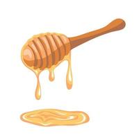 Honey dripping from a wooden honey dipper isolated on white background vector