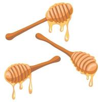 Honey dripping from a wooden honey dipper isolated on white background. Set of Different View vector