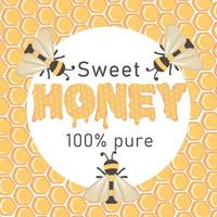 Sweet pure honey. Honey banner template with bees and honeycombs. vector