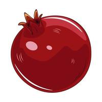 vector illustration of a pomegranate fruit