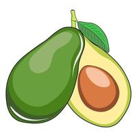 vector ilustración de el aguacate Fruta