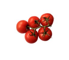 Red ripe tomatoes branch with green stem and leaves, cutout object clipping path, organic vegetable healthy diet concept png