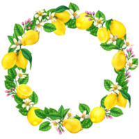 Elegant watercolor lemon wreath png