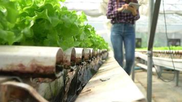 Selektive Fokussierung der Wasserleitung im Gemüse-Hydrokultursystem und der Bauer hält eine Tablette in der Hand und überprüft die Qualität des Salats aus grünem Eichensalat. Konzept der gesunden Bio-Lebensmittel- und Landwirtschaftstechnologie. video
