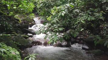 Footage of small water fall on tropical forest. Water flowing through river stone. The footage is suitable to use for nature footage, and travel destination footage. video
