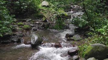 Aufnahmen von klein Wasser fallen auf tropisch Wald. Wasser fließend durch Fluss Stein. das Aufnahmen ist geeignet zu verwenden zum Natur Filmaufnahme, und Reise Ziel Filmaufnahme. video