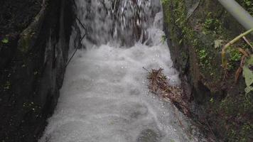 imágenes de pequeño agua otoño en tropical bosque. agua fluido mediante río Roca. el imágenes es adecuado a utilizar para naturaleza imágenes, y viaje destino imágenes. video