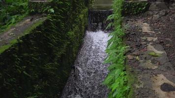 Footage of small water fall on tropical forest. Water flowing through river stone. The footage is suitable to use for nature footage, and travel destination footage. video