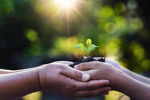 mother and child holding young plant with sunlight on green nature background. concept eco earth day photo