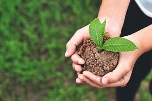 close up hand of children holding young plant on green grass background. environment earth day concept photo