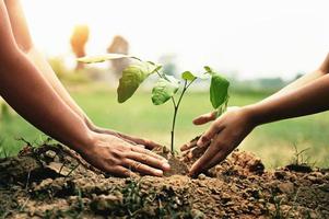 madre con hijos ayudando a plantar árboles en la naturaleza para salvar la tierra. concepto de medio ambiente eco foto