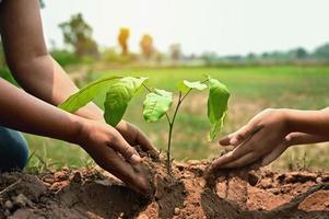 personas Ayudar plantando árbol en naturaleza para salvar tierra. ambiente eco concepto foto