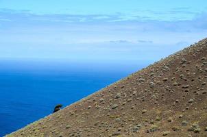 Scenic coastal view photo