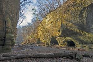 Quiet Light in a Secluded Canyon photo