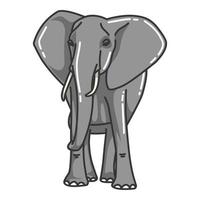 elephant vector image. wildlife pictures