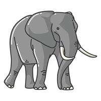 elephant vector image. wildlife pictures