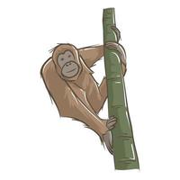 vector image of monkey and tree. wildlife pictures