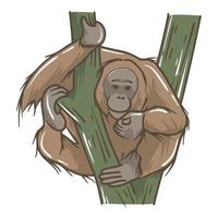 vector image of monkey and tree. wildlife pictures