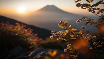 view of Mount Fuji with cherry blossom, and flowers at the lake in japan. Mount Fuji with cherry blossom, flowers at the lake in japan fuji mountain at viewpoint. photo