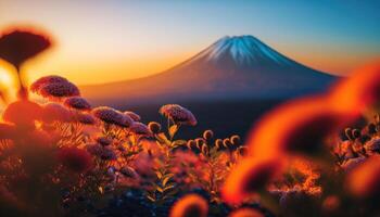 view of Mount Fuji with cherry blossom, and flowers at the lake in japan. Mount Fuji with cherry blossom, flowers at the lake in japan fuji mountain at viewpoint. photo