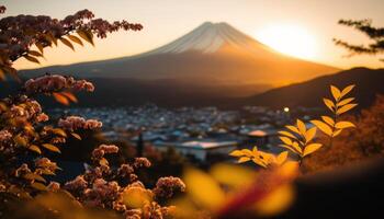 view of Mount Fuji with cherry blossom, and flowers at the lake in japan. Mount Fuji with cherry blossom, flowers at the lake in japan fuji mountain at viewpoint. photo