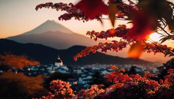 view of Mount Fuji with cherry blossom, and flowers at the lake in japan. Mount Fuji with cherry blossom, flowers at the lake in japan fuji mountain at viewpoint. photo