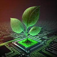 Growing tree on the converging point of acomputer circuit board. Nature with Digital Convergence and Technological Convergence. Green Computing, Green Technology, Green IT, csr, photo