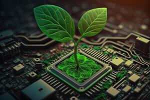 Growing tree on the converging point of acomputer circuit board. Nature with Digital Convergence and Technological Convergence. Green Computing, Green Technology, Green IT, csr, photo