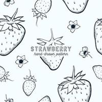 strawberry seamless pattern. hand drawn sketch illustration. vector