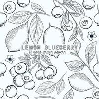 Blueberry and lemon seamless pattern. hand drawn sketch illustration. vector