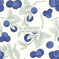 Blueberry seamless pattern. hand drawn illustration. fruit background. vector