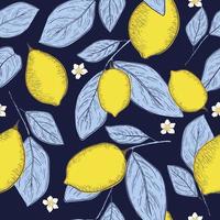 tropical yellow lemon seamless pattern. hand drawn sketch illustration. vector