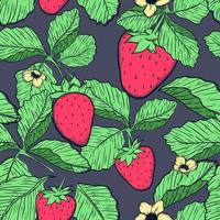 fresas sin costura modelo en oscuro antecedentes. mano dibujado modelo. Fruta ilustración. vector