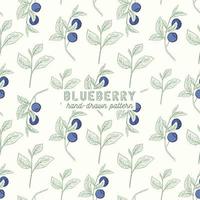 Blueberry seamless pattern. hand drawn illustration. fruit background. vector