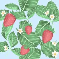 strawberry fruits seamless pattern. fruits background. vector