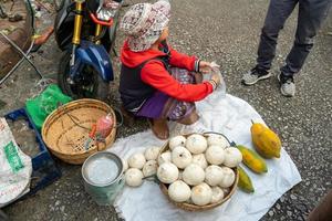 LUANG PRABANG LAOS , FEB 27 2023, Luang Prabang morning market is a wonderful place to find interesting and authentic food. photo