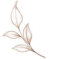 Watercolor delicate bright leaves branch png